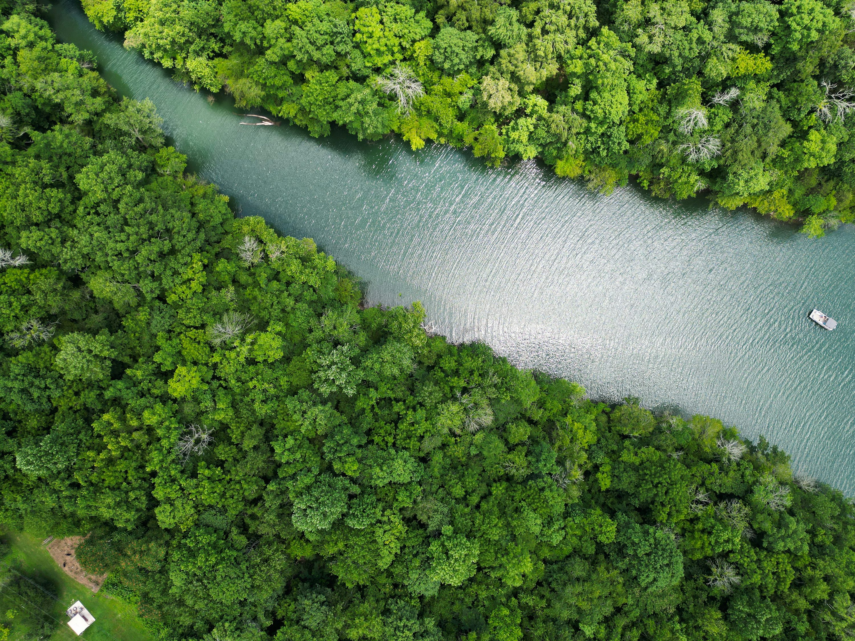 A winding river seen from above, surrounded by dense forest